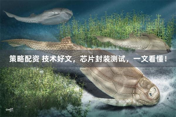 策略配资 技术好文，芯片封装测试，一文看懂！