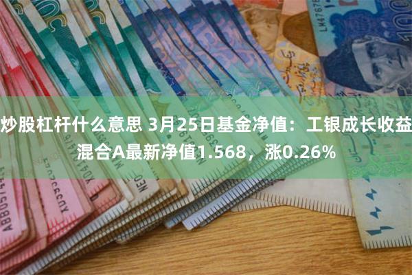 炒股杠杆什么意思 3月25日基金净值：工银成长收益混合A最新净值1.568，涨0.26%
