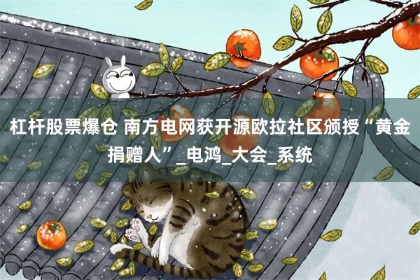 杠杆股票爆仓 南方电网获开源欧拉社区颁授“黄金捐赠人”_电鸿_大会_系统