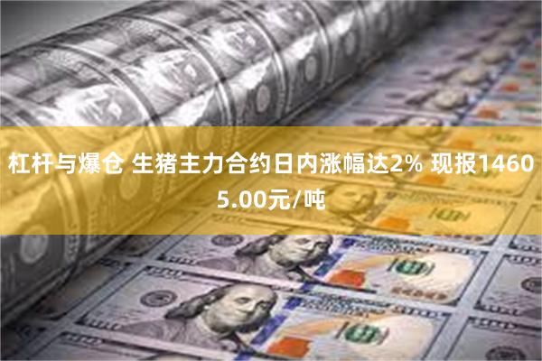 杠杆与爆仓 生猪主力合约日内涨幅达2% 现报14605.00元/吨