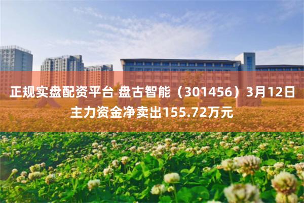 正规实盘配资平台 盘古智能（301456）3月12日主力资金净卖出155.72万元
