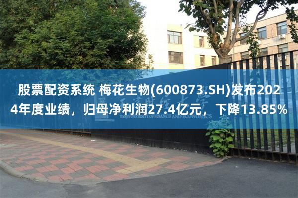 股票配资系统 梅花生物(600873.SH)发布2024年度业绩，归母净利润27.4亿元，下降13.85%