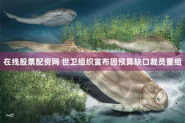 在线股票配资网 世卫组织宣布因预算缺口裁员重组