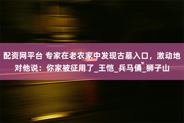 配资网平台 专家在老农家中发现古墓入口，激动地对他说：你家被征用了_王恺_兵马俑_狮子山