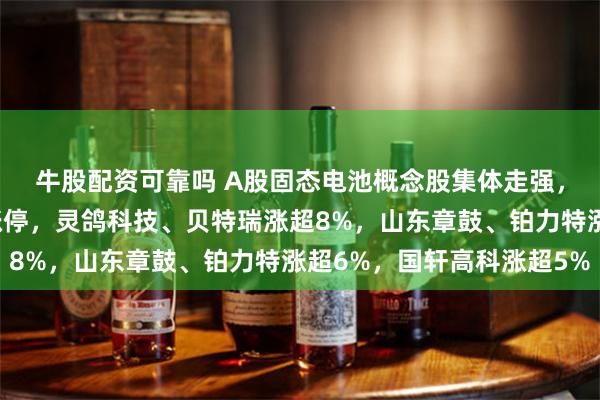 牛股配资可靠吗 A股固态电池概念股集体走强，龙蟠科技、万向钱潮涨停，灵鸽科技、贝特瑞涨超8%，山东章鼓、铂力特涨超6%，国轩高科涨超5%