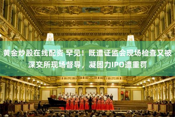 黄金炒股在线配资 罕见！既遭证监会现场检查又被深交所现场督导，凝固力IPO遭重罚