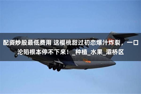 配资炒股最低费用 这樱桃甜过初恋爆汁炸裂，一口沦陷根本停不下来！_种植_水果_灞桥区