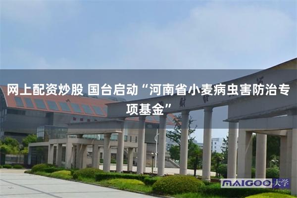 网上配资炒股 国台启动“河南省小麦病虫害防治专项基金”