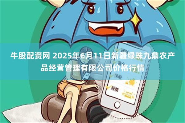 牛股配资网 2025年6月11日新疆绿珠九鼎农产品经营管理有限公司价格行情