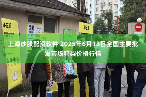 上海炒股配资软件 2025年6月13日全国主要批发市场鸭梨价格行情