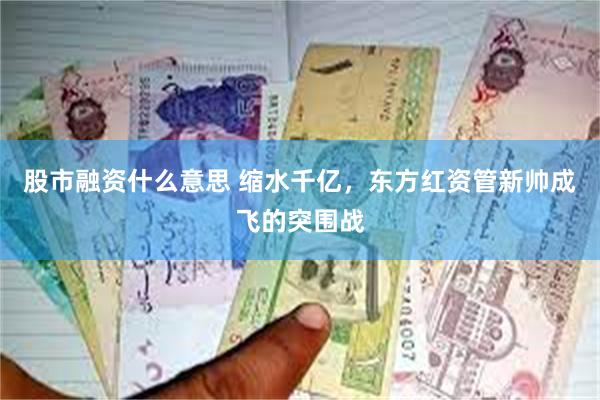 股市融资什么意思 缩水千亿，东方红资管新帅成飞的突围战