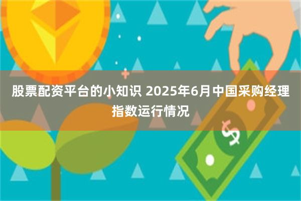 股票配资平台的小知识 2025年6月中国采购经理指数运行情况