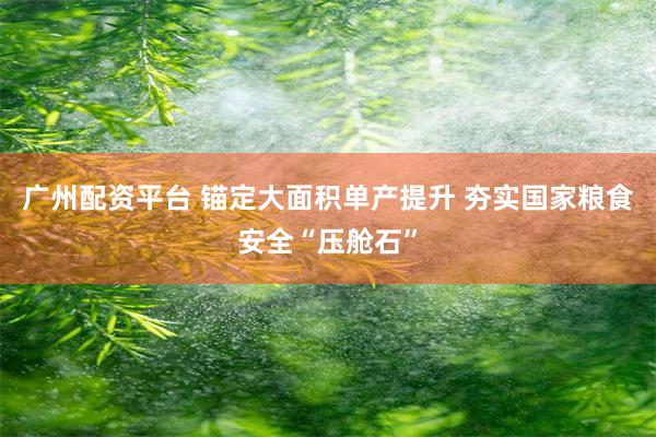 广州配资平台 锚定大面积单产提升 夯实国家粮食安全“压舱石”