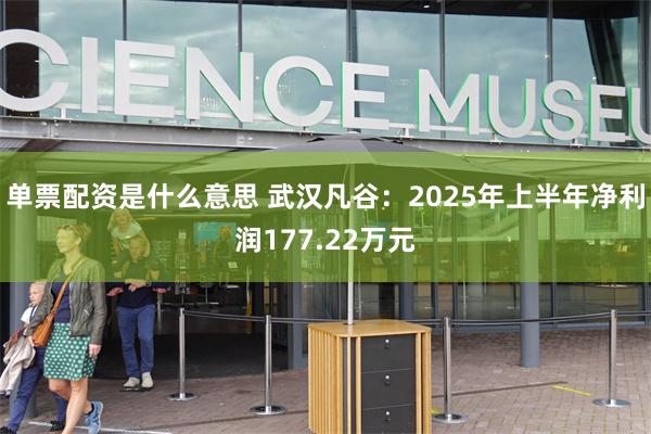 单票配资是什么意思 武汉凡谷：2025年上半年净利润177.22万元