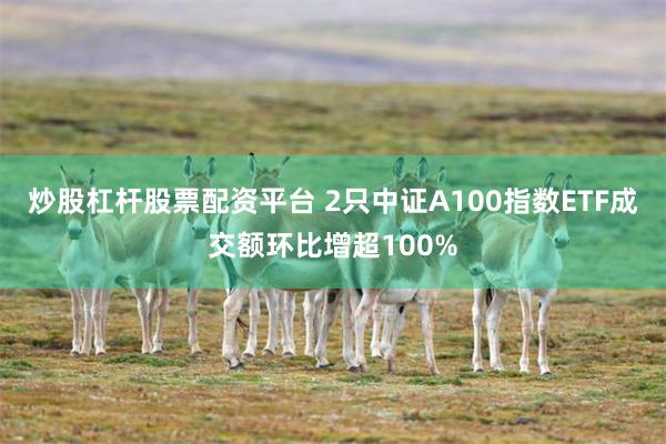 炒股杠杆股票配资平台 2只中证A100指数ETF成交额环比增超100%