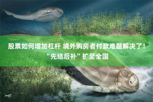股票如何增加杠杆 境外购房者付款难题解决了！“先结后补”扩至全国