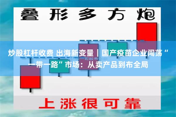 炒股杠杆收费 出海新变量｜国产疫苗企业闯荡“一带一路”市场：从卖产品到布全局