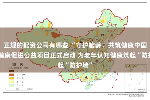 正规的配资公司有哪些 “守护脑龄，共筑健康中国”脑健康促进公益项目正式启动 为老年认知健康筑起“防护墙”